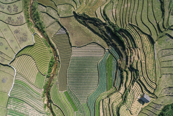 Pola ryżowe, ryżowy taras Paddy w Sa Pa Lao Cai Wietnam Azja Aerial Drone zdjęcie Vie - Zdjęcie, obraz