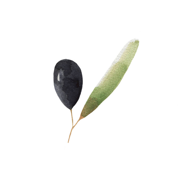 Watercolor olive sprig isolated on white background. Part of the plant, food. For menu design, poster. - Fotó, kép