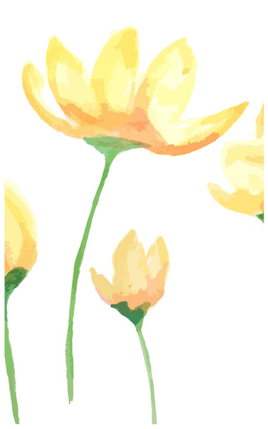 Aquarel gele en oranje bloemen met groene stengel geïsoleerd op witte achtergrond. Illustratie. - Vector, afbeelding