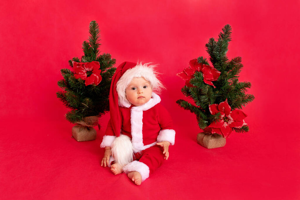 šťastné malé šestiměsíční dítě v kostýmu Santy sedí u vánočních stromků na červeném izolovaném fotofonu, místě pro text, nový rok a prázdninový koncept - Fotografie, Obrázek