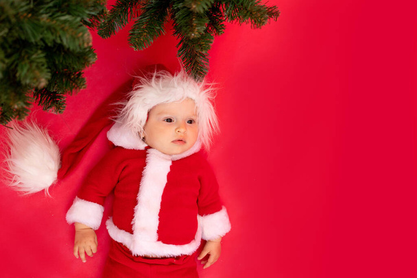 Маленький ребенок 6 месяцев в костюме Санта лежит на красный изолированный фотофон под елкой, пространство для текста, новый год и праздник концепции - Фото, изображение