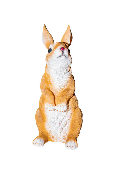 Beyaz arka planda sıkışmış tavşanlar - Fotoğraf, Görsel