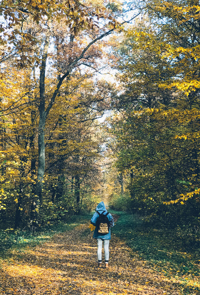 Hipster woman with backpack standing in amazing autumn forest, enjoying beautiful yellow trees. Traveler hiking in woods with fall leaves, tranquil moment - Foto, imagen