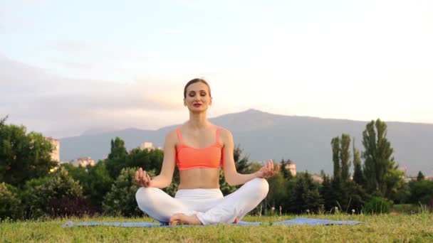 Frau macht Yoga in der Natur - Filmmaterial, Video