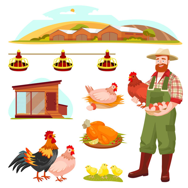 Siipikarjatilojen kanat, laitteet ja maanviljelijä, eristetty valkoisella pohjalla. Vektori tasainen sarjakuva kuvitus. Kanan, kukon ja kanan muotoiluelementit. - Vektori, kuva