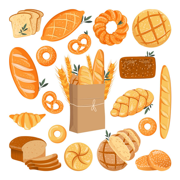 Fresh baked grain bread set. Vector flat cartoon illustration. Rye and wheat buns, loaf, bagel and baguette. Bakery design elements, isolated on white background. - Vector, Image