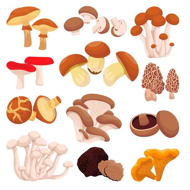 Collezione di funghi, isolata su fondo bianco. Illustrazione del fumetto piatto vettoriale. Ingredienti alimentari elementi di design. Raccolta autunnale di funghi commestibili di foresta. - Vettoriali, immagini