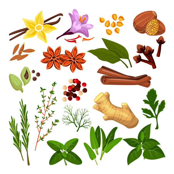 Spices and herbs set. Vector flat cartoon illustration, isolated on white background. Cinnamon, pepper, anise, clove, ginger, cooking icons and design elements. - Vector, Image