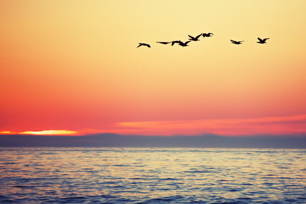 Схід сонця над морем
 - Фото, зображення