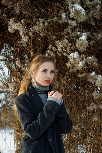 Мода портрет красивой женщины с красной помадой носить темное пальто на фоне зимней природы. - Фото, изображение