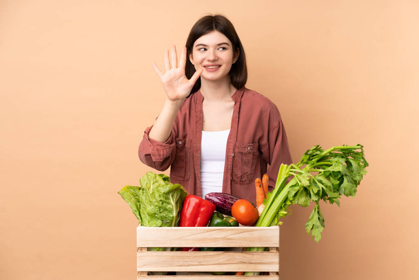Młoda rolnik dziewczyna ze świeżo zebrane warzywa w pudełku licząc pięć z palcami - Zdjęcie, obraz