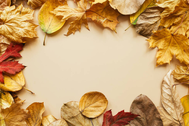 Modèle créatif composé de feuilles d'automne. Concept d'automne. Arrière-plan d'automne. Pose plate, vue du dessus, espace de copie, mise en page - Photo, image
