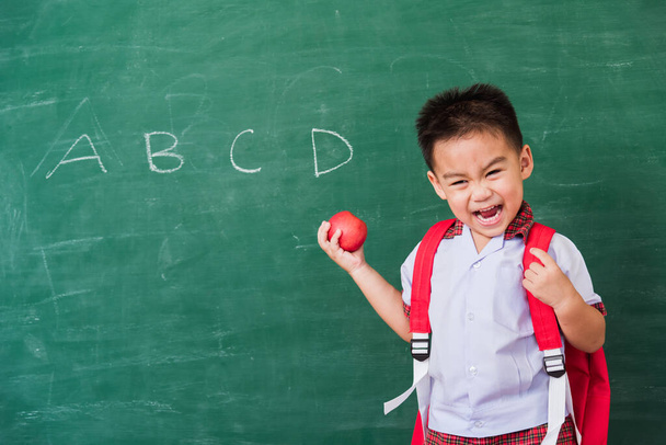 Back to School. Happy Asian funny cute little child boy from kindergarten in student uniform with school bag hold red apple on hand smiling on green school blackboard, First time to school education - 写真・画像