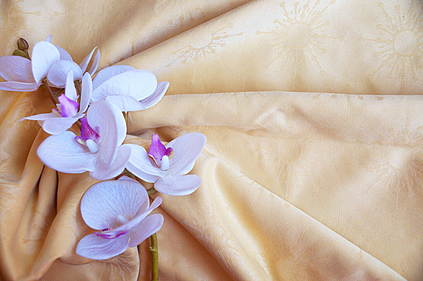 fiore bianco del orchid sul drappeggio tessile dell'oro vicino - Foto, immagini