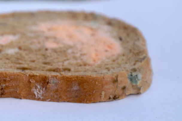 een stuk beschimmeld brood op een witte achtergrond - Foto, afbeelding