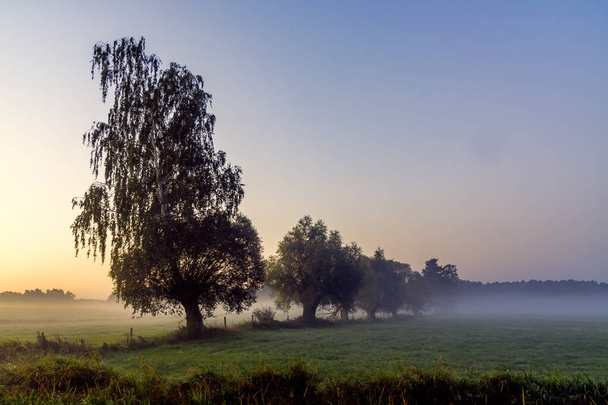 A beleza de uma manhã enevoada no vale de Narew em Podlasie, Polônia - Foto, Imagem