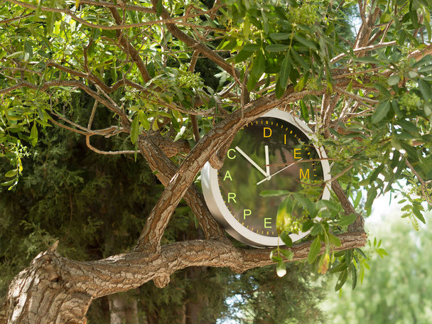 Ronde klok met letters CARPE DIEM op zijn gezicht opknoping aan boomtak tussen groene bladeren. Vertaling van Latijnse woorden: Grijp de dag - Foto, afbeelding