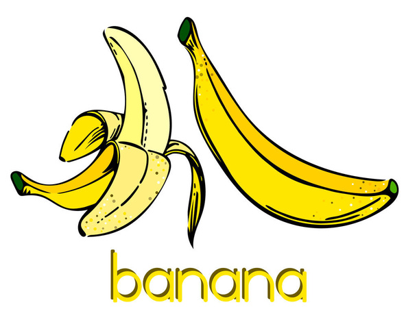 Set of two realistic design bananas isolated. Natural yellow banana sketch ink style. Hand drawn real looking pair of fresh fruits. Healthy organic food. For printing, banner, fruit shops. - Vector, Image