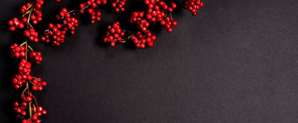Artificial guelder-rose over black background, flat lay with copy space - Photo, Image