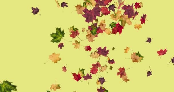 Animation of falling leaves autumn loop - Footage, Video