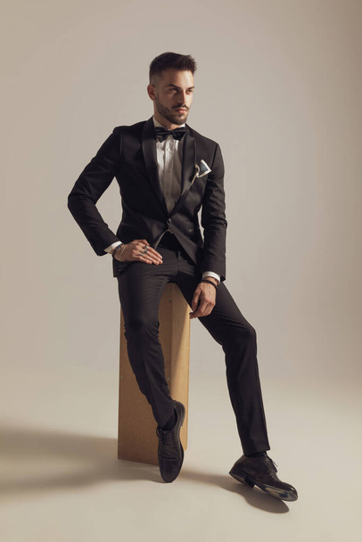 Determined groom looking away, wearing tuxedo while sitting on gray studio background - Foto, Imagen