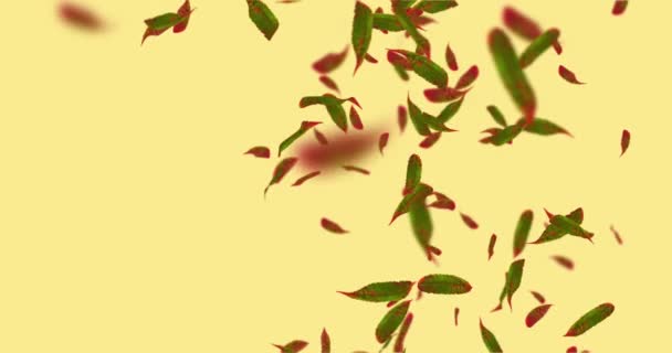 Анимация осеннего цикла падающих листьев - Кадры, видео
