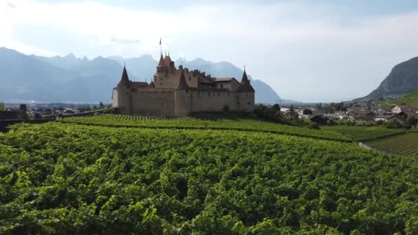 Castillo de Aigle y viñedos en terrazas - Imágenes, Vídeo