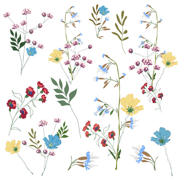 Ręcznie rysowana kolekcja kwiatów. Duży zestaw gałęzi botanicznych, liści, liści, ziół, dzikich roślin w bukietach - Wektor, obraz