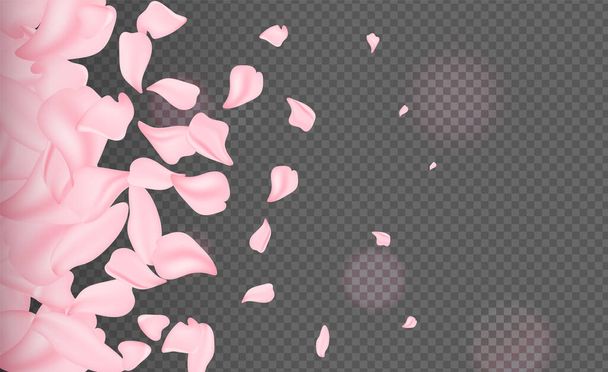 Blütenblätter fliegen. Frühlingsblüte. Mai Blumen und April florale Natur auf rosa Hintergrund. Zweige des blühenden Aprikosenmakros mit sanftem Fokus. Für Oster- und Frühlings-Grußkarten mit Kopierraum. - Vektor, Bild