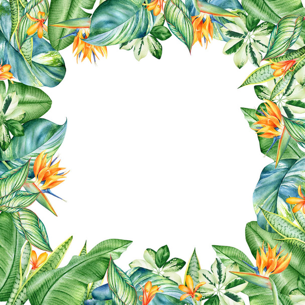 Floraler Rahmen mit Aquarell tropischen Pflanzen und Blumen isoliert auf weißem Hintergrund - Foto, Bild