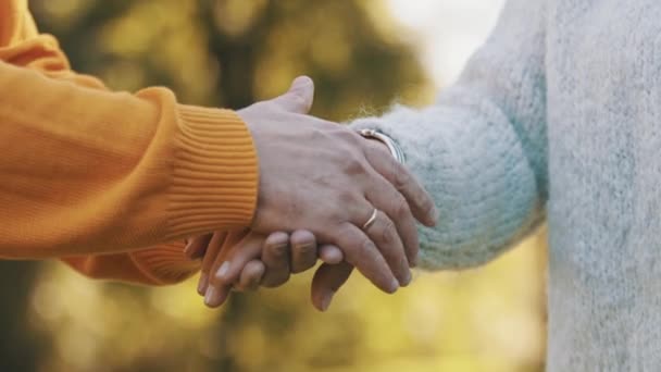 közel egy idős pár kezéhez a parkban ősszel - Felvétel, videó