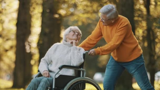 Älteres Ehepaar im Park. Ehemann schubst seine behinderte Frau im Rollstuhl - Filmmaterial, Video