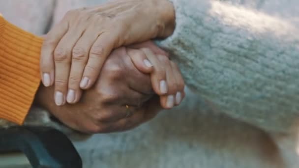lähikuva käsiä vanhusten pari puistossa syyspäivänä - Materiaali, video