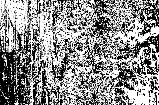 μοτίβο τερμίτη σε ξύλο - Φωτογραφία, εικόνα