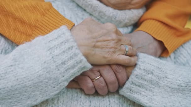 fechar as mãos de um casal de idosos no parque no dia de outono - Filmagem, Vídeo