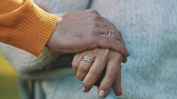 perto de mãos de um par idoso no parque no dia de outono. Marido segurando a mão de sua esposa saborosa - Filmagem, Vídeo
