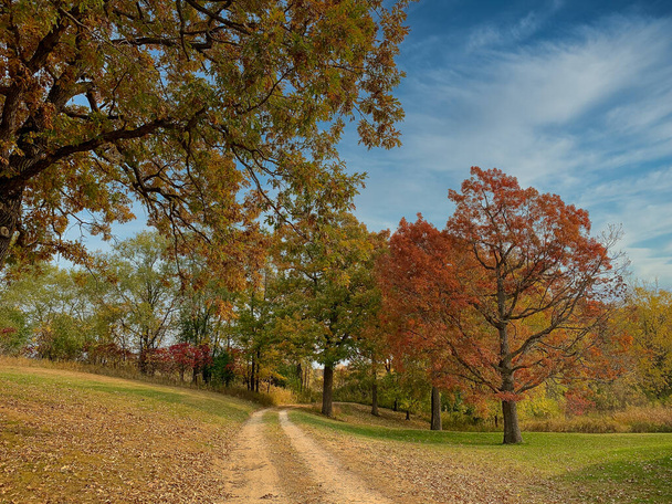 rural country road crisp autumn fall colors. Dirt Road through trees. Horizontal scenic landscape - Photo, Image