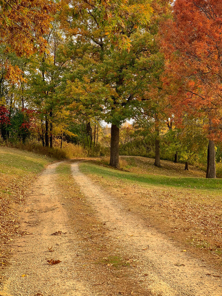 rural country road crisp autumn fall colors. Dirt Road through trees. Horizontal scenic landscape - Photo, Image