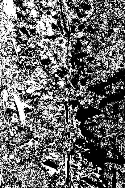 Tahtadaki termit deseni - Fotoğraf, Görsel