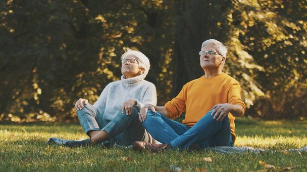 Wellbeing concept. Portrait of happy senior retired couple meditating in autumn park - Photo, Image