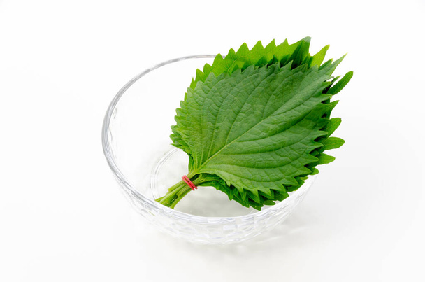 Friss zöld Shiso (perilla frutescens) vagy Oba levél egy kis átlátszó üveg kerek tál fehér alapon. - Fotó, kép