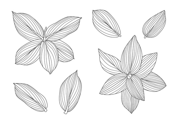 Folhas linha única folha e folha padrão preto Traga a cor decorar no fundo branco vetor de ilustração - Foto, Imagem