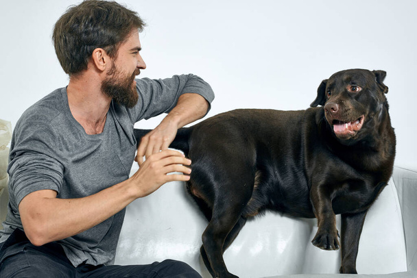 Mutlu adam ve köpek kanepede Aydınlık bir odada evcil hayvan bir insanın dostudur - Fotoğraf, Görsel