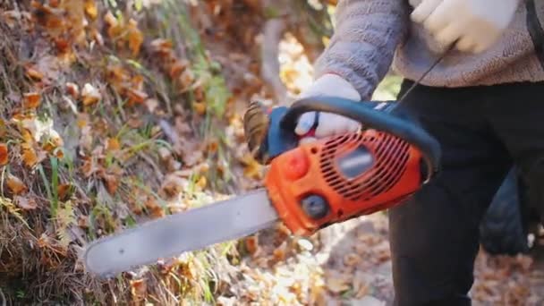 A man turns on a chainsaw in the woods - Footage, Video