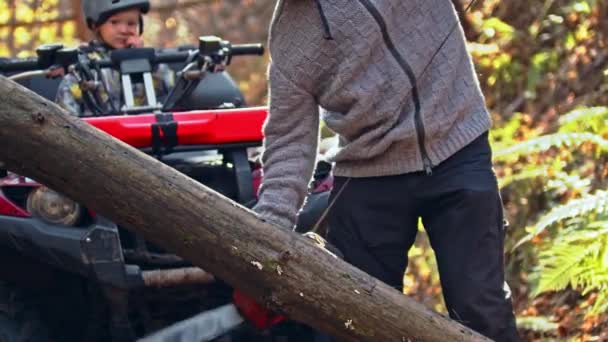 An autumn forest - man takes a chainsaw and starts cutting a wood - Footage, Video