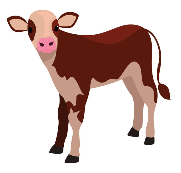茶色の子牛、イラスト、白い背景のベクトル - ベクター画像