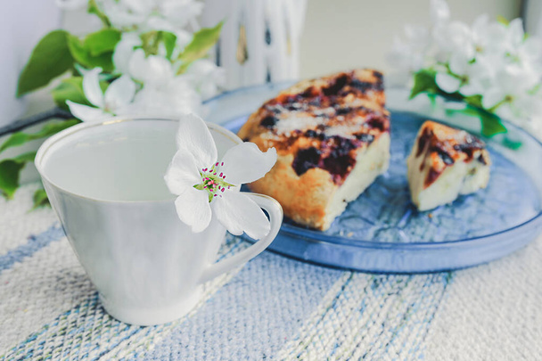 Biała porcelanowa filiżanka z zieloną herbatą i świeży biały kwiat gruszki i domowe ciasto jagodowe z jagodami na niebieskim naczyniu w tle. Piękne przytulne śniadanie - Zdjęcie, obraz