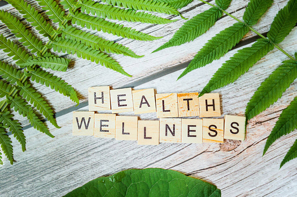nápis zdraví wellness je vyroben z malých dřevěných bloků vytištěných na dřevěném podkladu se zeleným čerstvým listem zeleně. nový normální hotový moderní obsah - Fotografie, Obrázek