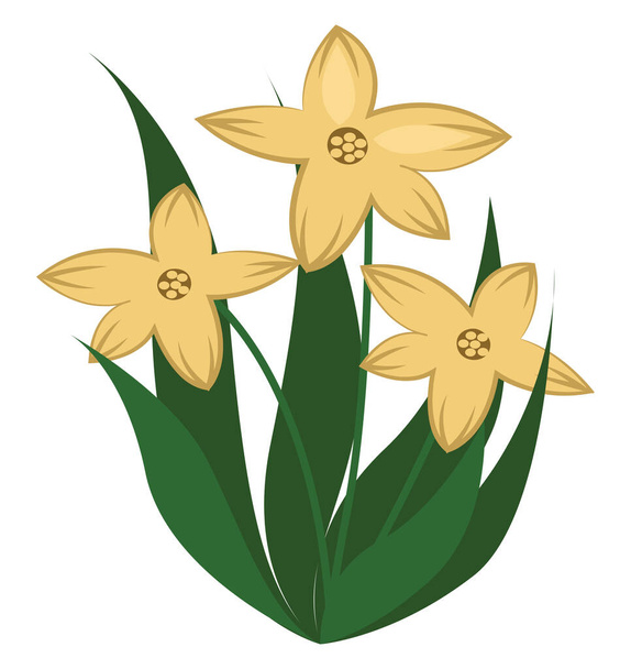 Drei gelbe Blumen, Illustration, Vektor auf weißem Hintergrund - Vektor, Bild