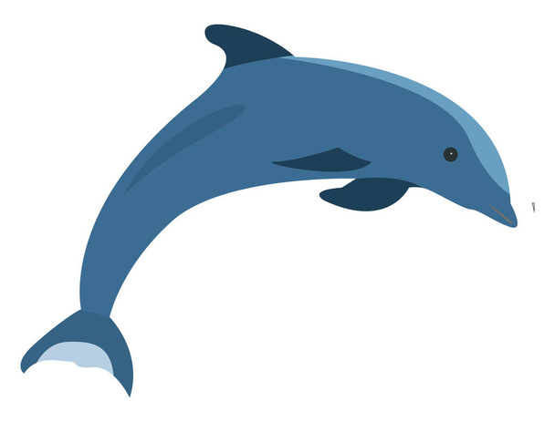 Blue dolphin, illustration, vector on white background - Vector, Image